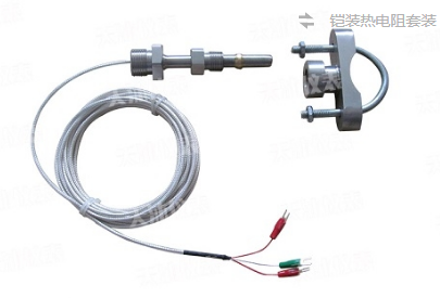 工業(yè)鎧裝熱電偶型號